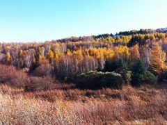 -塞罕坝国家级自然保护区