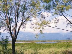 -野鸭湖国家湿地公园