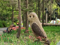 -东平国家森林公园