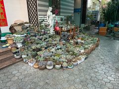 -杨厝六十六农庄农舍(杨厝路店)