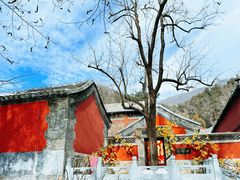 -潭柘寺景区