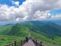 -驼梁风景区