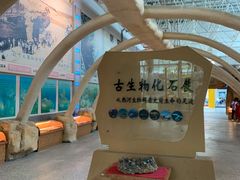 -福州科技馆
