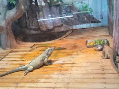 -石家庄市动物园