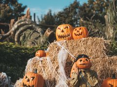 -七彩云南欢乐世界