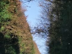 -山王坪喀斯特国家生态公园
