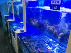 -老虎滩大连海鲜烧烤(建邺云锦路总店)