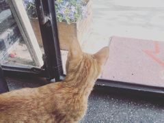 -NOTOOCAFE不二咖啡馆(岩前店)