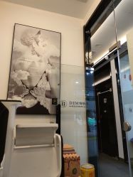 -DEM缔怡美科技美容