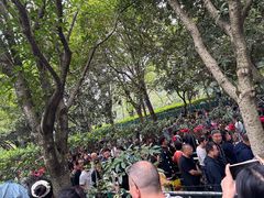 -韶山毛泽东同志故居