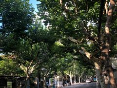 街道-Ginger(兴国路店)