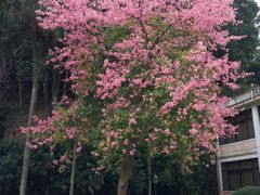 -广东温泉宾馆