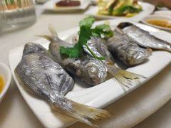 -鼎仔翅(龙湖公寓北区店)