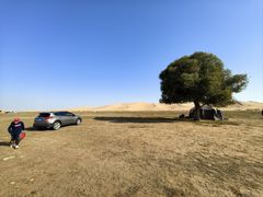 -亿利库布其七星湖沙漠生态旅游区