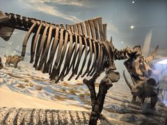 -国家自然博物馆