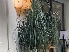 -Kekimatata 生日蛋糕·烘焙教学