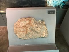 -呼伦贝尔民族博物馆