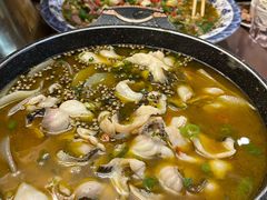 青花椒乌鱼片-众记老派川菜(红牌楼店)
