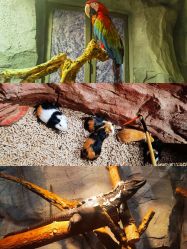 -Zoolung Zoolung动物主题公园(海信广场店)