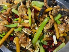 干锅牛蛙-馋嘴蛙火锅