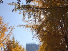 -辽宁大学(崇山校区)