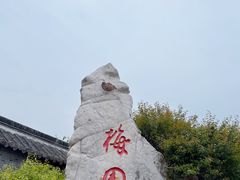 -梅园