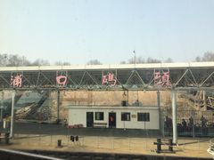 -浦口码头(轮渡站)