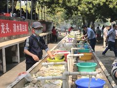 -松山湖南湖湾露营营地