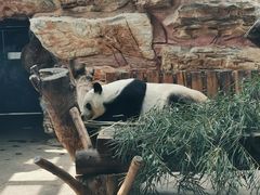 -石家庄市动物园