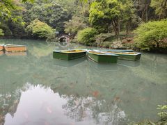 -灵栖洞天