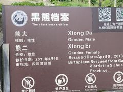 -都江堰中华大熊猫苑