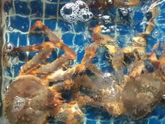 -旺角餐厅(潮州大道店)