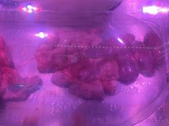 -强叔现切猪杂粥(翻身店)