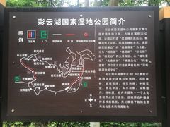 -重庆彩云湖湿地公园