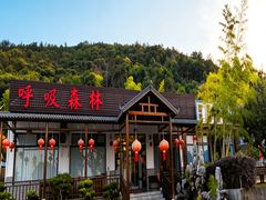 -呼吸森林·生态农庄农家乐私房菜