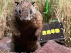 -陕西自然博物馆