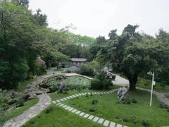 -深圳国际园林花卉博览园