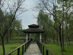 -沐仙湖湿地公园