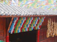-云南民族村