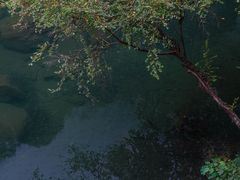 -石台牯牛降景区