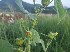 -北京金海湖景区
