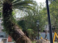 -广东温泉宾馆