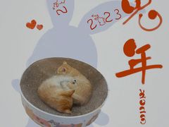 -屋虎猫馆(宝安大仟里店)