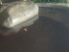 -碧水湾温泉