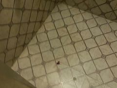 -苏沐堂全息足浴·SPA·按摩(万科美好广场店)