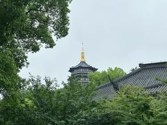 -浙江西子宾馆·牡丹厅