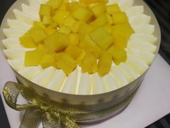 -维尔纳斯·生日蛋糕·动物奶油冰淇淋蛋糕(六里桥店)