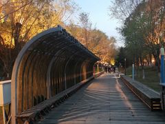 -长白岛森林公园