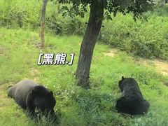 -太原动物园