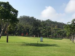 -野狸岛